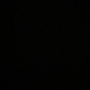 Meet your Posher, Isabella